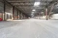 Producción 10 habitaciones 290 m² en Radashkovichy, Belarús