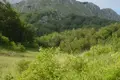 Land 185 005 m² Montenegro, Montenegro