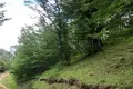 Parcelas 665 m², Georgia