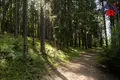 Chalet 734 m² Svabski sielski Saviet, Bélarus