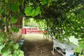 Haus 17 m² Kapciouski sielski Saviet, Belarus
