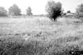 Land 22 869 m² Repceszemere, Hungary