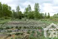 House 45 m² Pryharadny sielski Saviet, Belarus