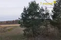 Haus 39 m² Stankauski sielski Saviet, Belarus