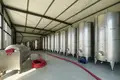  Fully equipped, brand-new wine factory with a full production cycle, located in Kvareli 