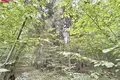 Land  Godenai, Lithuania