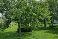 House 63 m² Prudzisca, Belarus