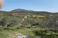 Commercial property 3 500 m² in Asprovrysi, Greece