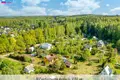 Land  Akmeniskes, Lithuania