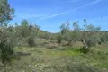 Land 5 980 m² Peloponnese Region, Greece