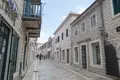 Commercial property 100 m² in Topla, Montenegro