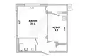 1 room apartment 41 m² Muchaviecki sielski Saviet, Belarus