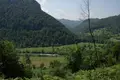Land  Zabljak, Montenegro