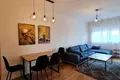Apartamento 1 habitacion 502 m² Montenegro, Montenegro