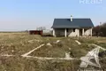 Land 123 m² Novyja Lyscycy, Belarus