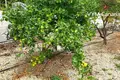 Apartment  Guia de Isora, Spain