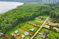 Casa 61 m² Lyntupski sielski Saviet, Bielorrusia