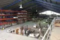 Warehouse 4 800 m² in Ergates, Cyprus