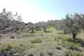 Commercial property 3 500 m² in Asprovrysi, Greece