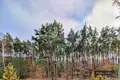 Commercial property 71 m² in Borowiec, Poland