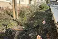 Квартира 1 спальня 71 м² Kosharitsa, Болгария