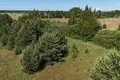 Land 18 600 m² Grinvalti, Latvia