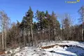 House 250 m² Rakauski selski Savet, Belarus