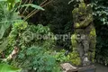 Land  Tumbak Bayuh, Indonesia