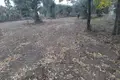 Parcelas  Tasos, Grecia