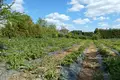 Land  Voyskovickoe selskoe poselenie, Russia