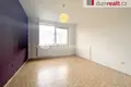 Wohnung 45 m² Neuhaus, Tschechien