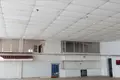 Commercial property 1 000 m² in Evrypedo, Greece