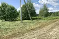 Grundstück  Zodzinski sielski Saviet, Weißrussland