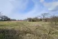 Parcelas  Mir, Belarús