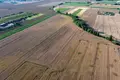 Działki 20 300 m² Kobylniki, Polska