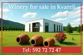  Fully equipped, brand-new wine factory with a full production cycle, located in Kvareli 