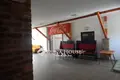 Commercial property 500 m² in Babosdobrete, Hungary