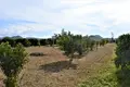 Land 1 250 m² Peloponnese Region, Greece