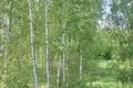Дом 96 м² Городецкий муниципальный округ, Россия