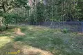 Casa 34 m² Visneuski selski Savet, Belarús
