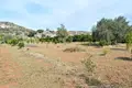 Land 1 250 m² Peloponnese Region, Greece