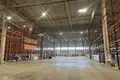 Nieruchomości komercyjne 3 pokoi 6 000 m² w Grenes, Łotwa
