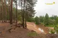 Дом 167 м² Раковский сельский Совет, Беларусь