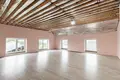 Ferienhaus 338 m² Dziamidavicki sielski Saviet, Belarus