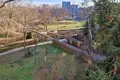 3 room apartment 63 m² Warsaw, Poland