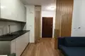 Apartamento 1 habitación 24 m² en Cracovia, Polonia