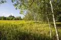 Квартира 950 м² Варшава, Польша