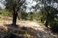 Land 1 room 108 000 m² Petriti, Greece