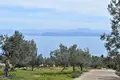 Commercial property 4 000 m² in Peloponnese Region, Greece