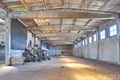 Manufacture 3 322 m² in Khvojniki, Belarus